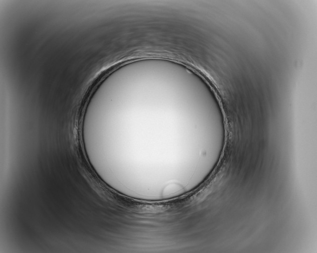 X0000094941499200711291010