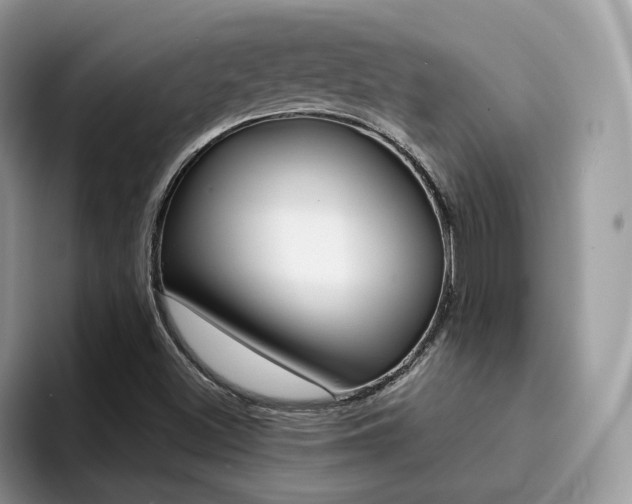 X0000094941500200711291010