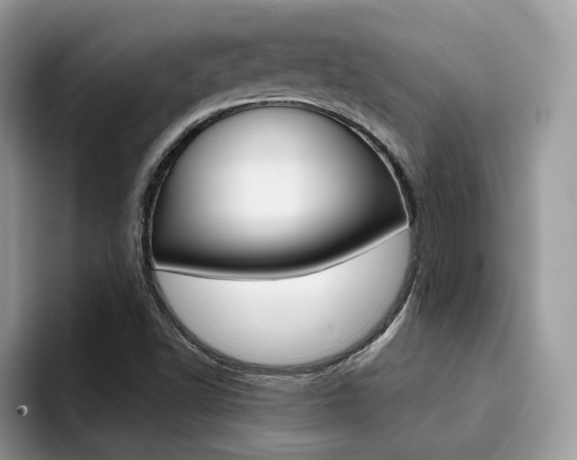 X0000094941502200711291010