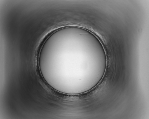 X0000094941503200711291010