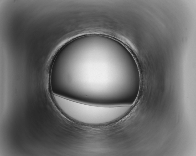 X0000094941504200711291010