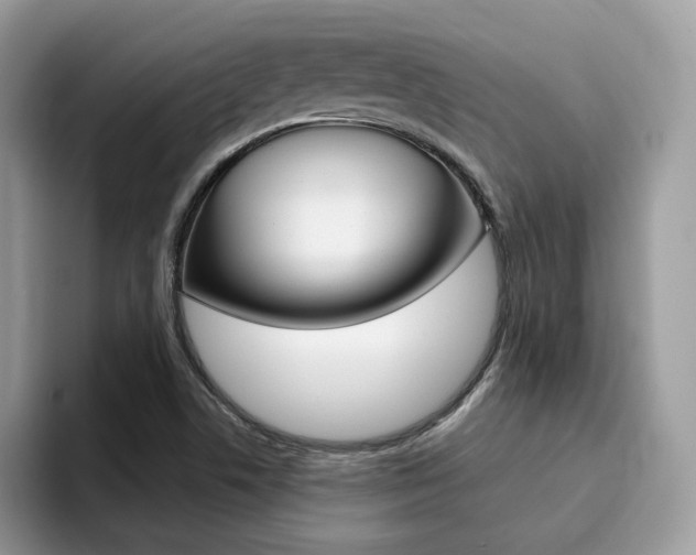 X0000094941506200711291011