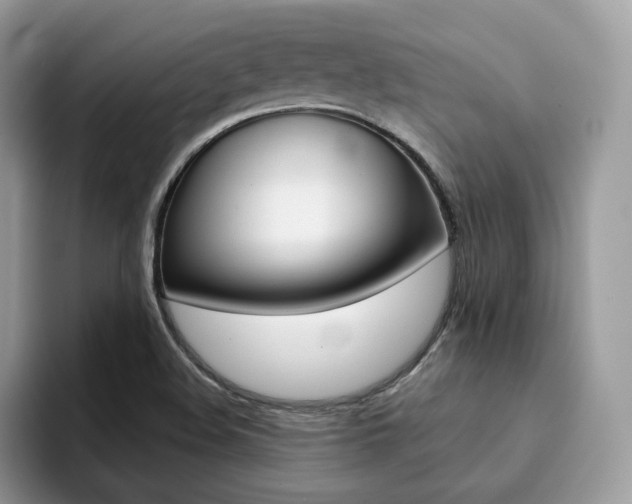 X0000094941508200711291011
