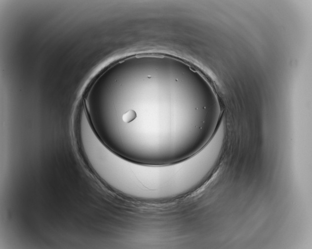 X0000094941510200711291011