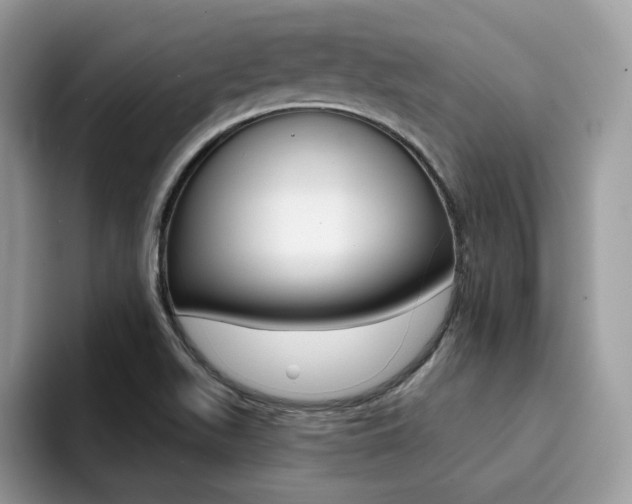 X0000094941511200711291011