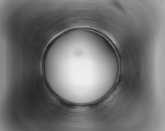 X0000094941513200711291011