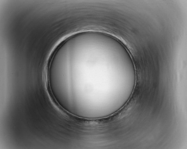 X0000094941515200711291011