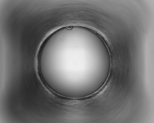 X0000094941517200711291011
