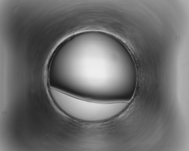X0000094941519200711291011