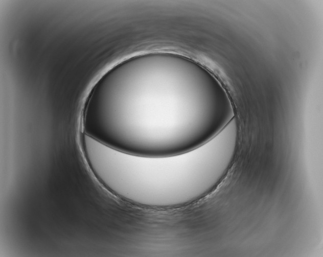 X0000094941520200711291011