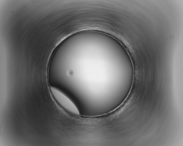 X0000094941521200711291011