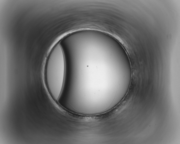 X0000094941523200711291011