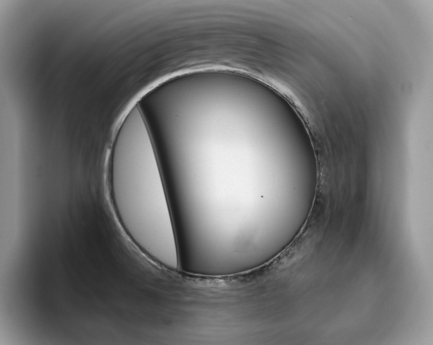 X0000094941524200711291011
