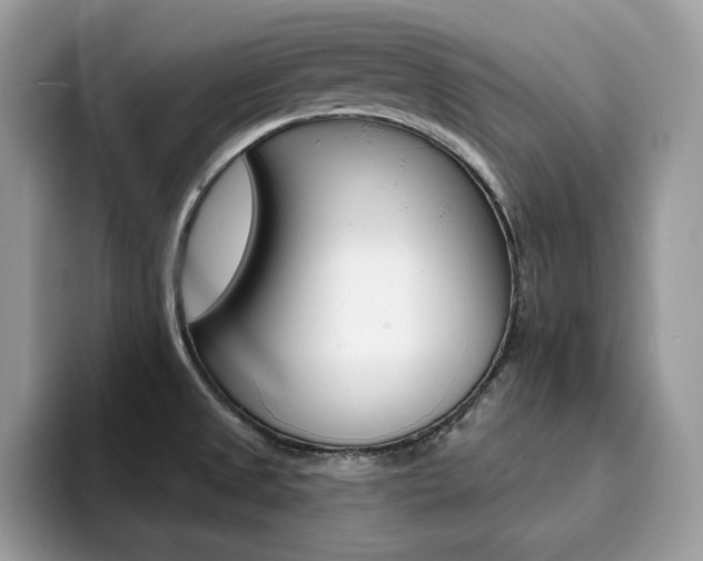 X0000094941525200711291011