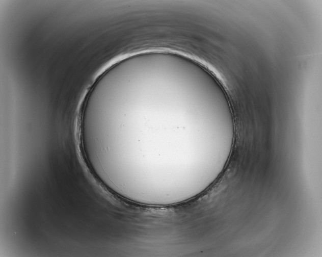 X0000094941526200711291011