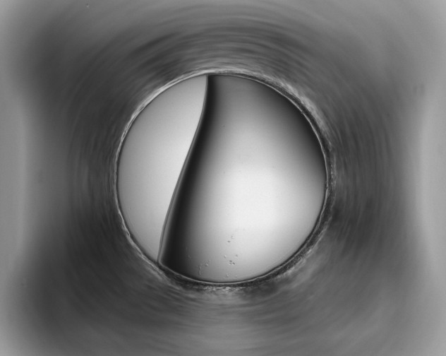 X0000094941529200711291011