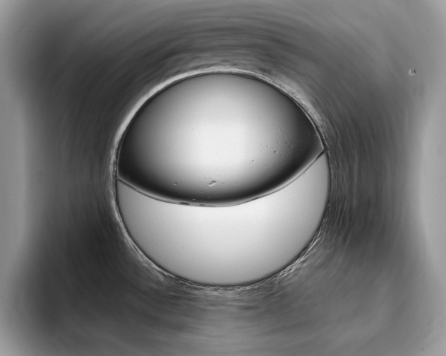 X0000094941532200711291011