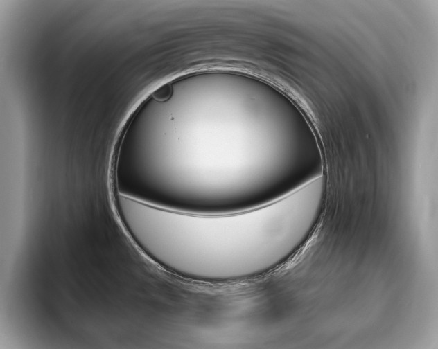 X0000094941533200711291011