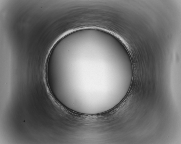 X0000094941534200711291011
