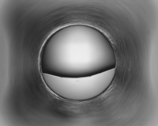 X0000094941535200711291011
