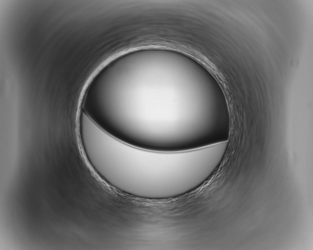 X0000094941536200711291011