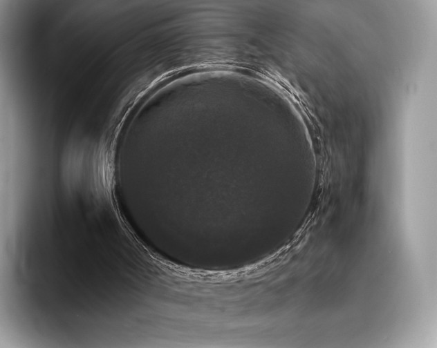 X0000094940002200711291402