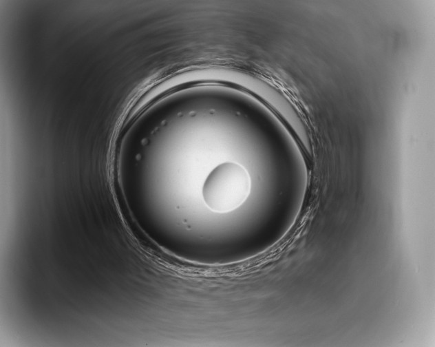 X0000094940003200711291402