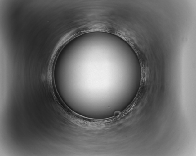 X0000094940004200711291402