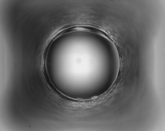 X0000094940005200711291402