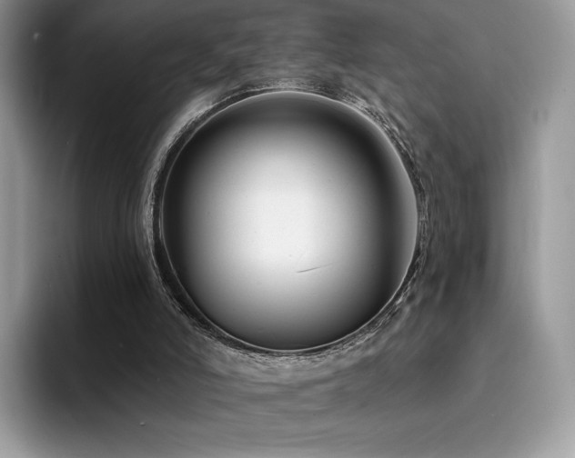 X0000094940006200711291402