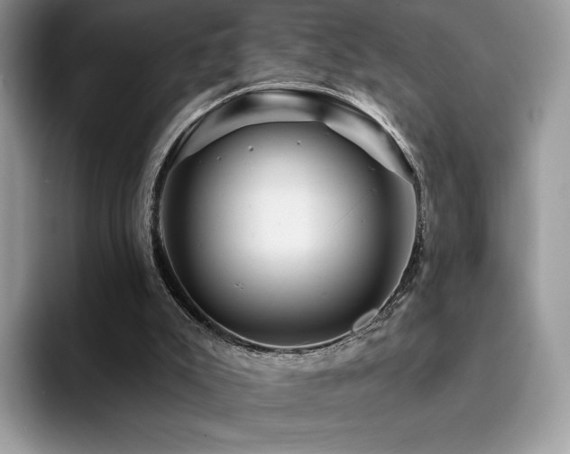 X0000094940007200711291402