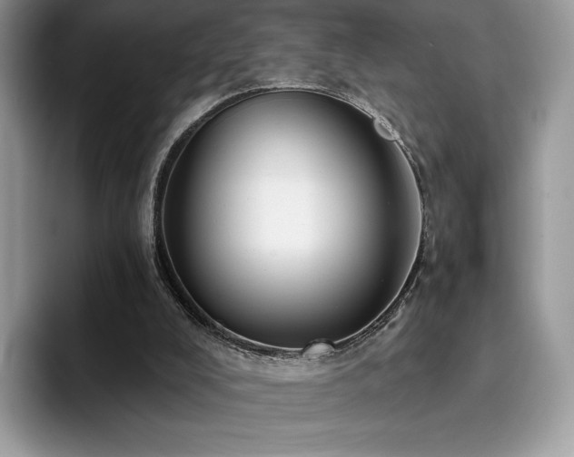 X0000094940008200711291402