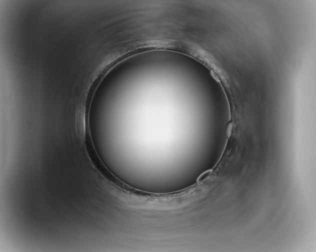 X0000094940011200711291402