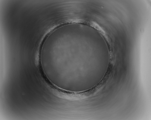 X0000094940012200711291402