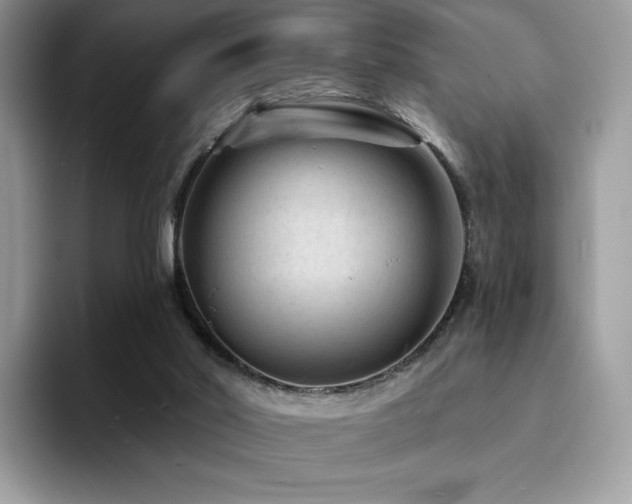 X0000094940014200711291402