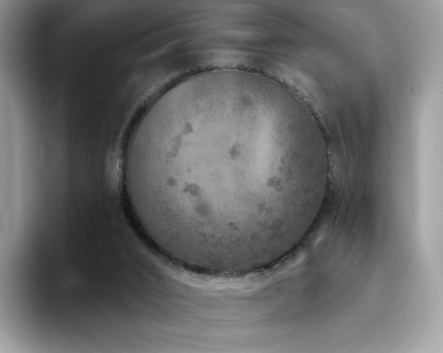 X0000094940016200711291402