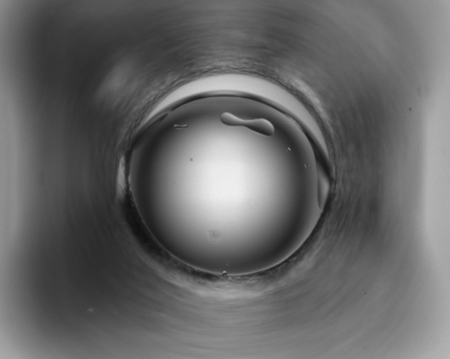 X0000094940020200711291402