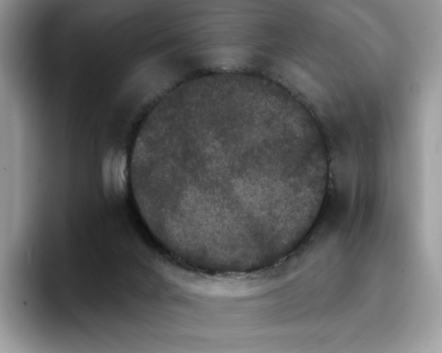 X0000094940024200711291402