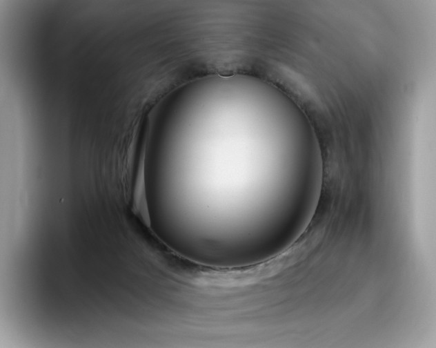 X0000094940025200711291402