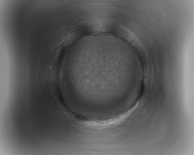 X0000094940029200711291402