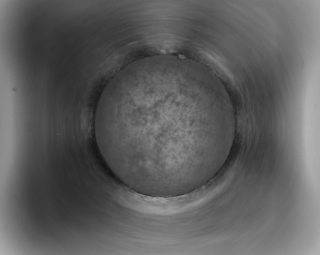 X0000094940030200711291402