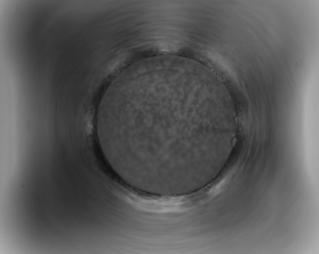 X0000094940032200711291402