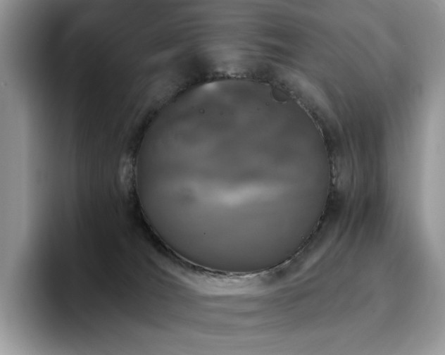 X0000094940036200711291402