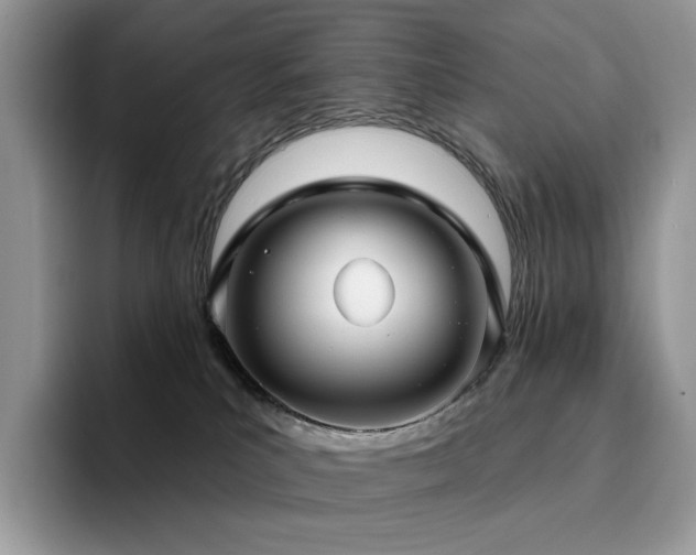 X0000094940039200711291402