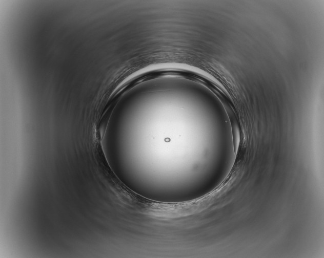 X0000094940045200711291402