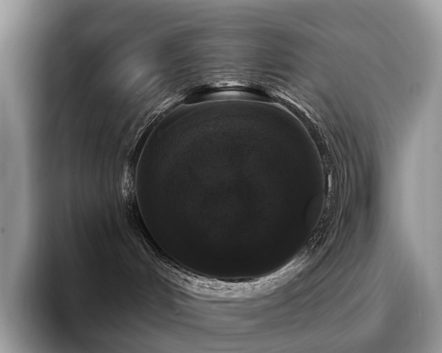 X0000094940048200711291402