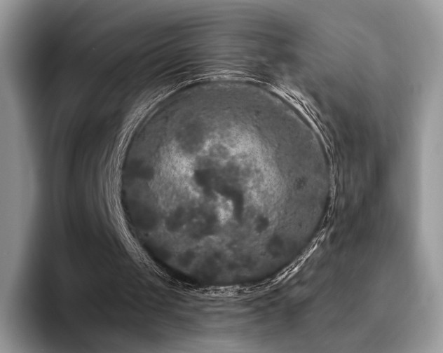 X0000094940049200711291401