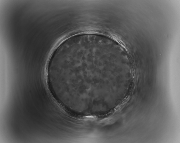 X0000094940053200711291401