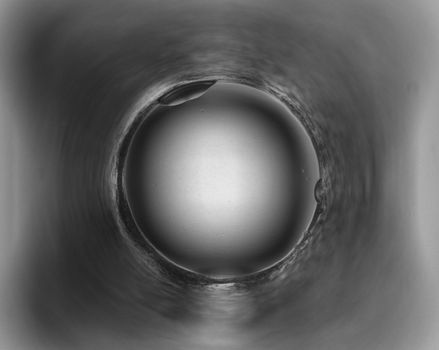 X0000094940054200711291401