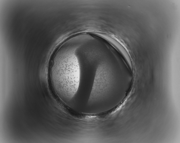 X0000094940055200711291401